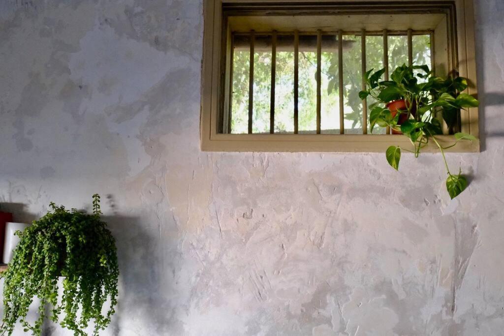 Ferienwohnung The Little House In Neve Tzedek Tel Aviv-Jaffa Exterior foto